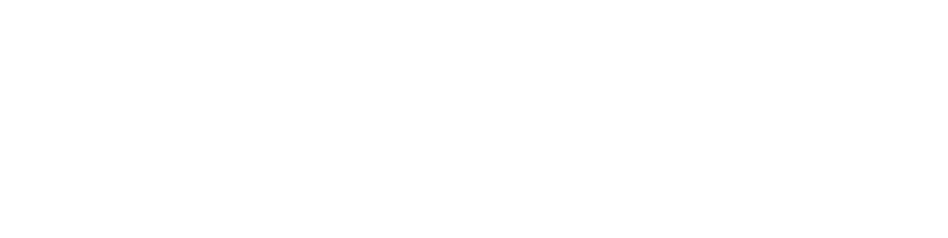 logo-lenzchile-ohne-H_weiss
